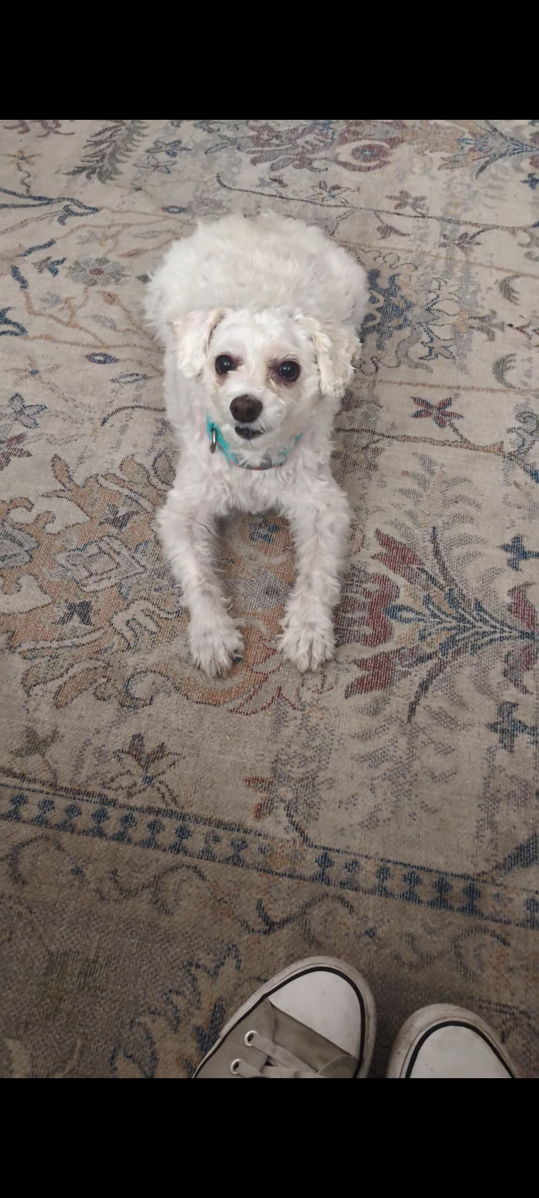 Masha sitting on the rug
